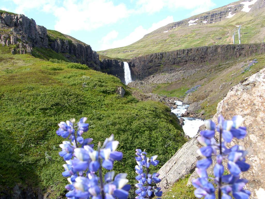 Reydarfjordur Apartment Экстерьер фото